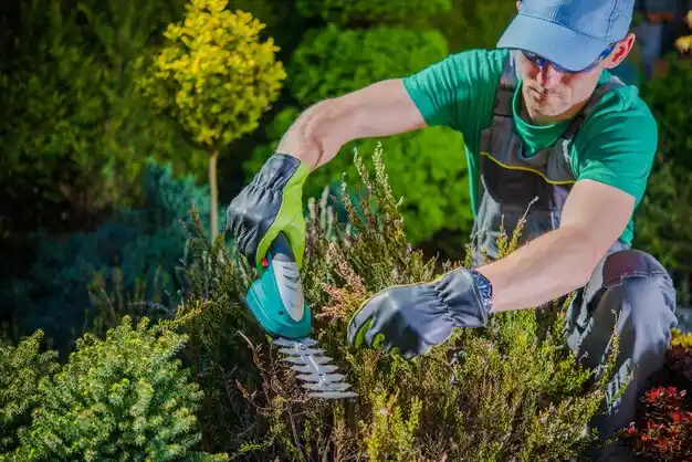 landscaping services Hubbardston